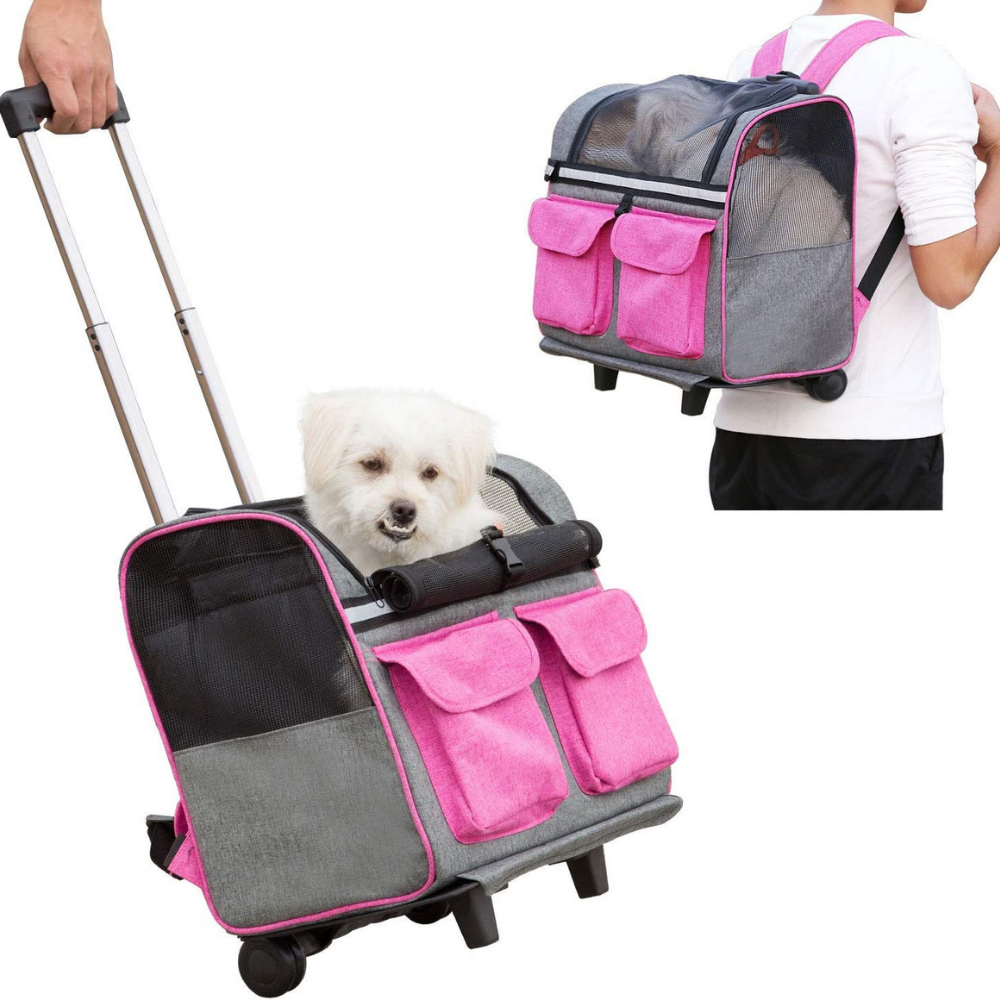 Wheel around shop travel pet carrier