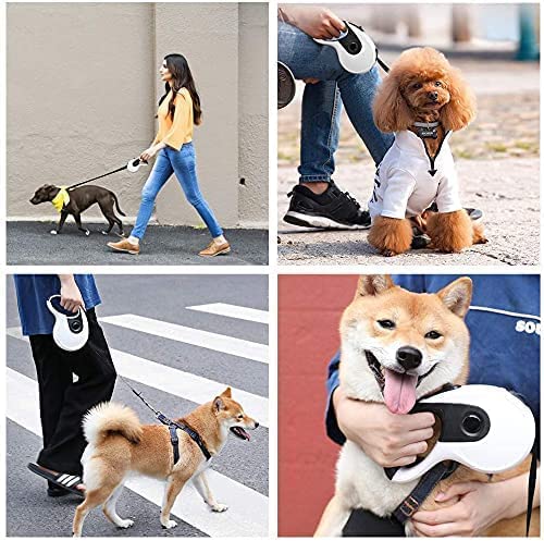 Pawroll Retractable Dog Leash (2022)