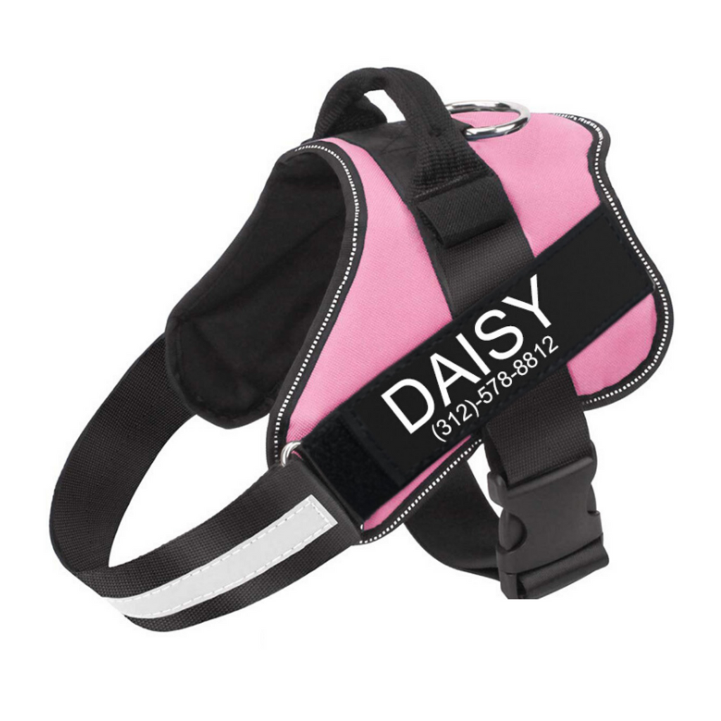 Personalized PawRoll™ No Pull Dog Harness (2023)