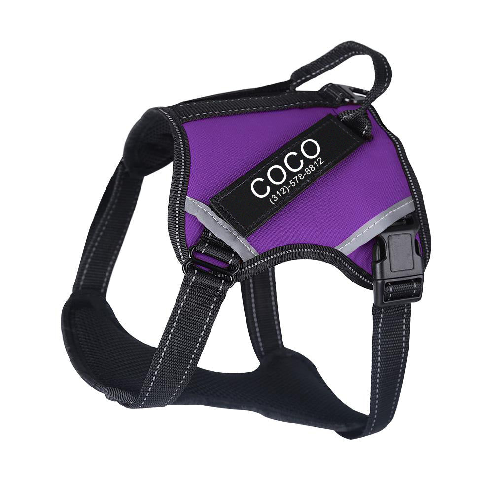 Personalized PawSun™ No Pull Dog Harness (2023)