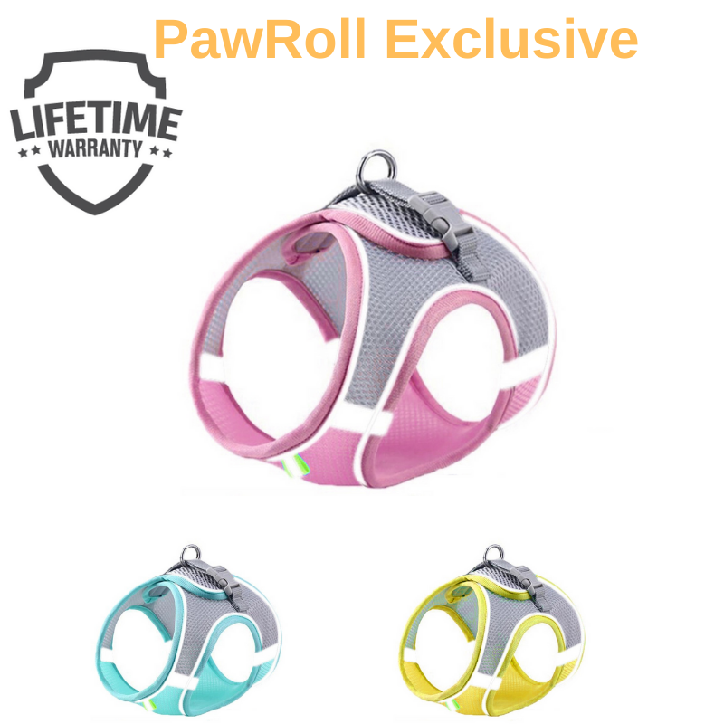 PawRoll™ No Pull Dog Summer Harness (2023)