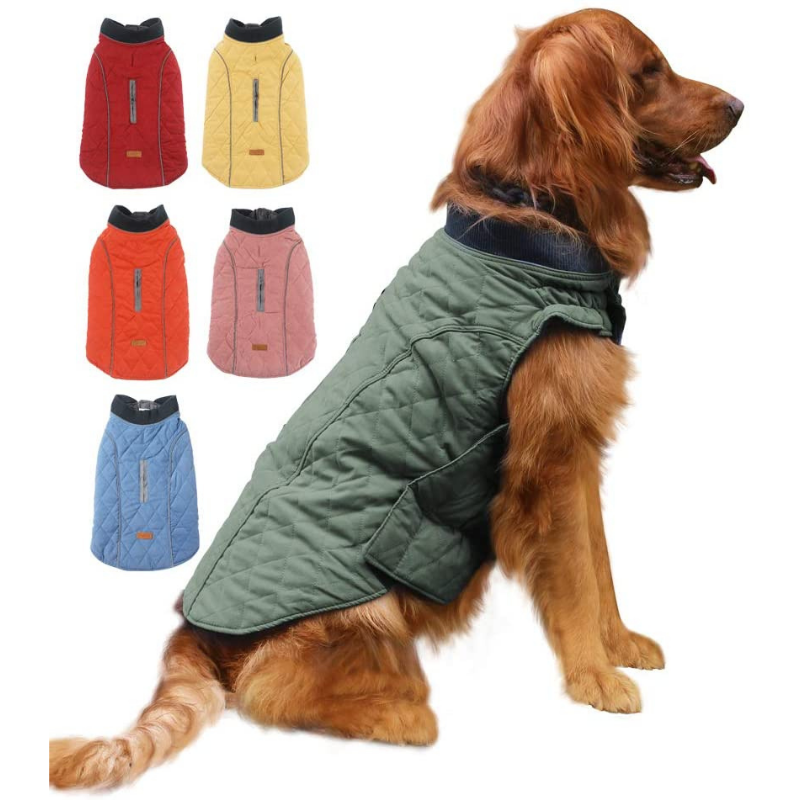 Pawtton Joy Designer Dog Winter Jacket