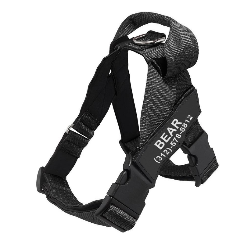 Personalized PawRock™ No Pull Dog Harness (2023)