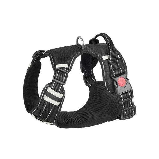 All-In-One™ No Pull Harness-Paw Roll,S (7-20 LBS)