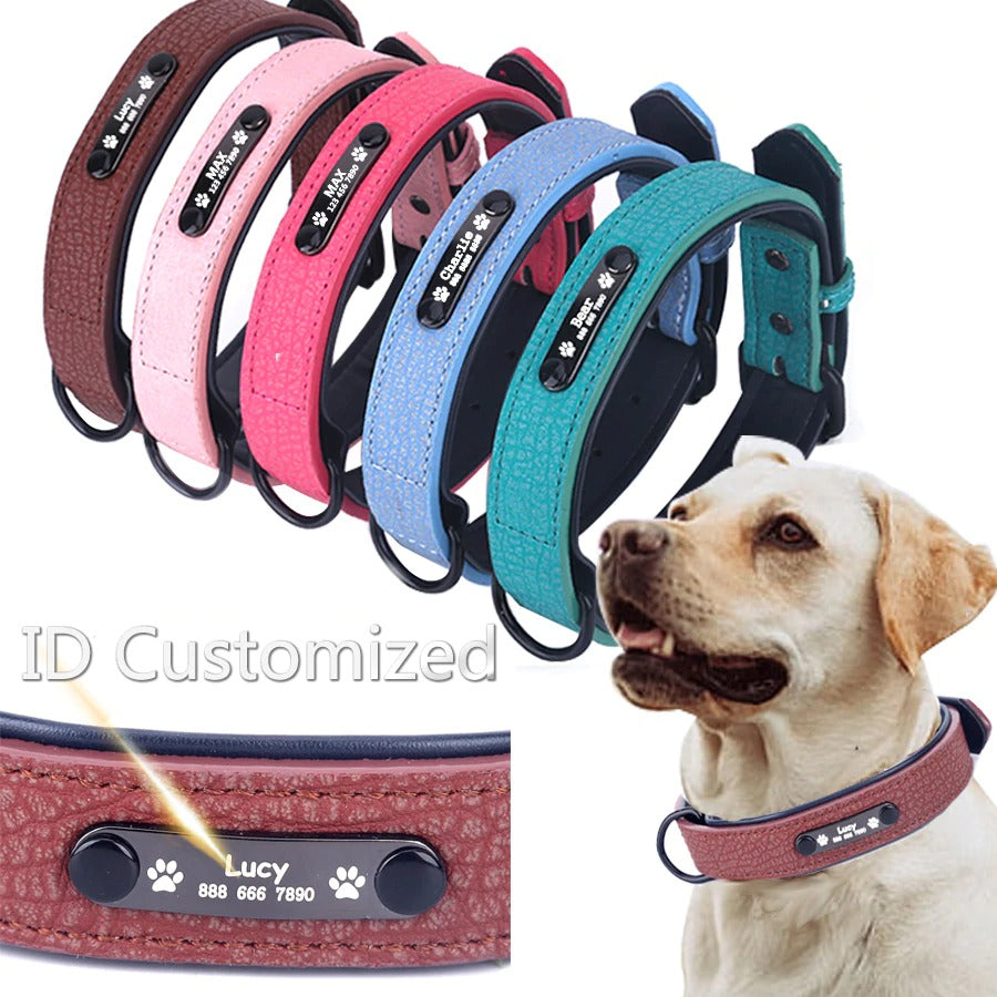 Personalized PawRoll™ Dog Collar (2020)
