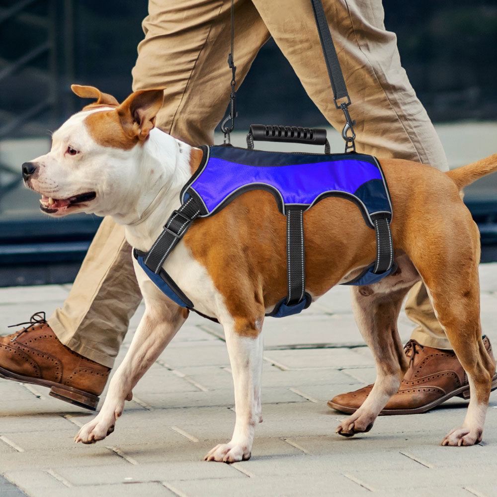 PawRoll™ Dog Support Vest Harness