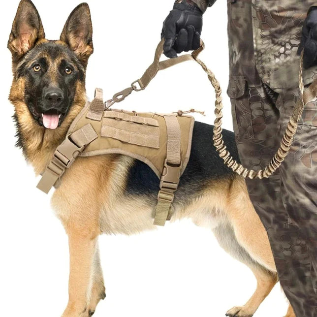 M12™ Military Harness (Free Leash)