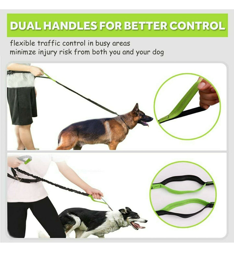 PawRoll Dog Hand Free Leash with pocket
