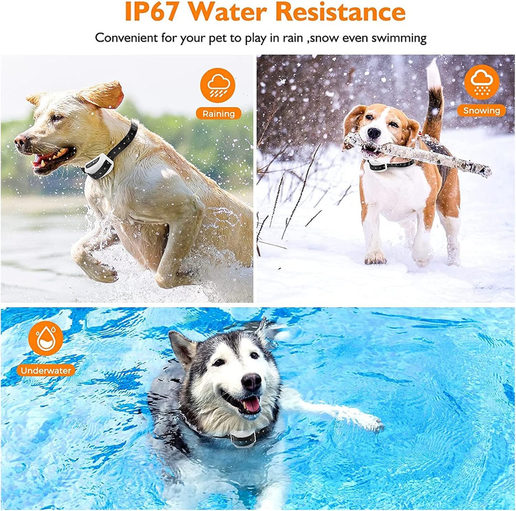 Challenger Wireless Dog Fence