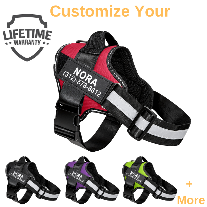 Personalized PawRoll™ No Pull Dog Harness