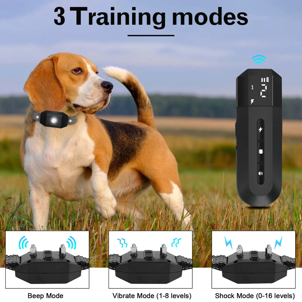 DogRoll Dog Training Collar