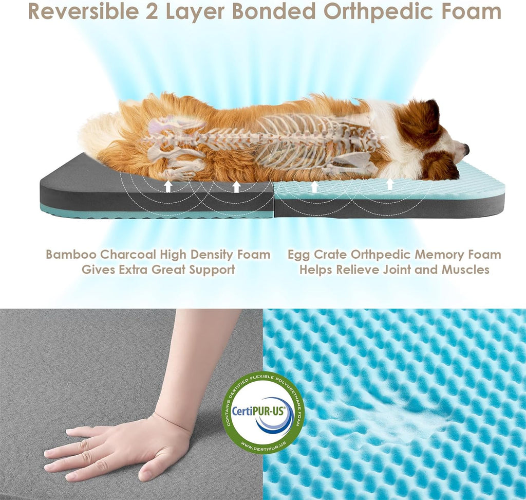 Foldable PawRoll Human Dog Bed