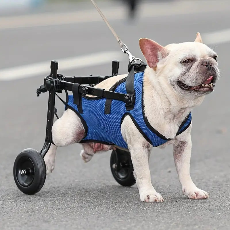 New PawRoll Dog Wheelchair (2024)