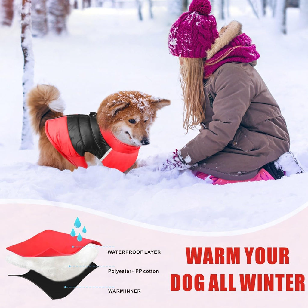 PawRoll Dog Waterproof Winter Jacket