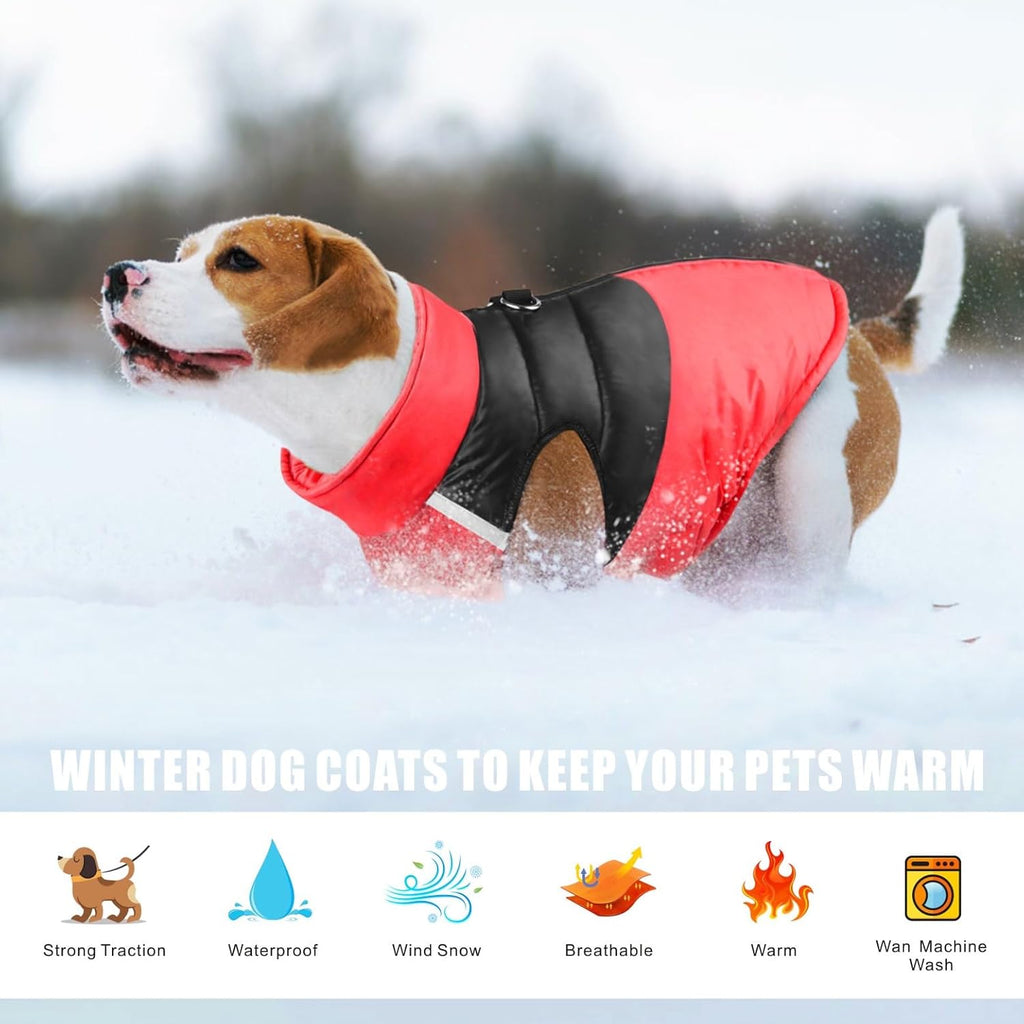 PawRoll Dog Waterproof Winter Jacket