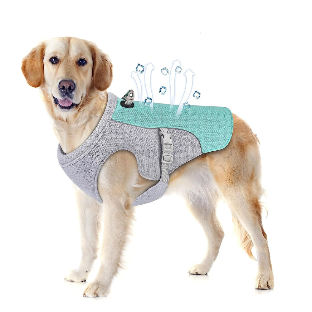 PawRoll Dog Cooling Vest Harness Light Blue S