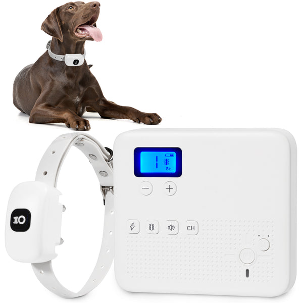 PawRoll Digital Pet Scale – Paw Roll