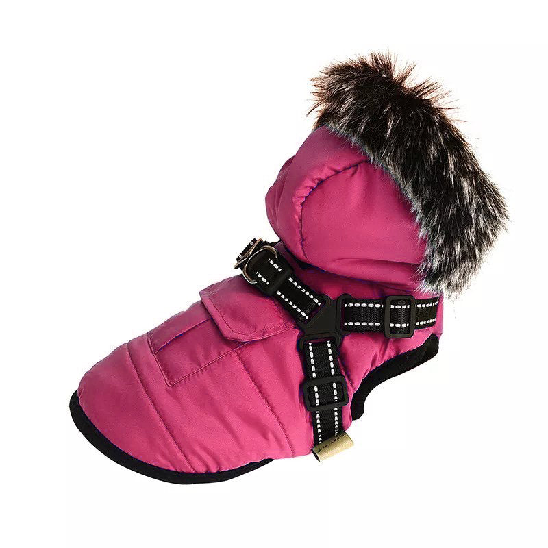 PawRoll Luxury Dog Winter Coat