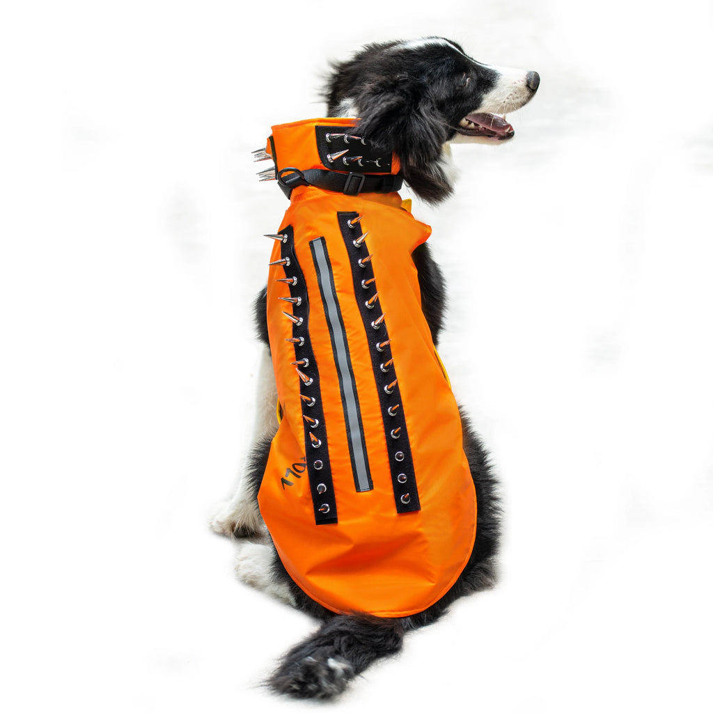 PawRoll Dog Spike Armor Vest