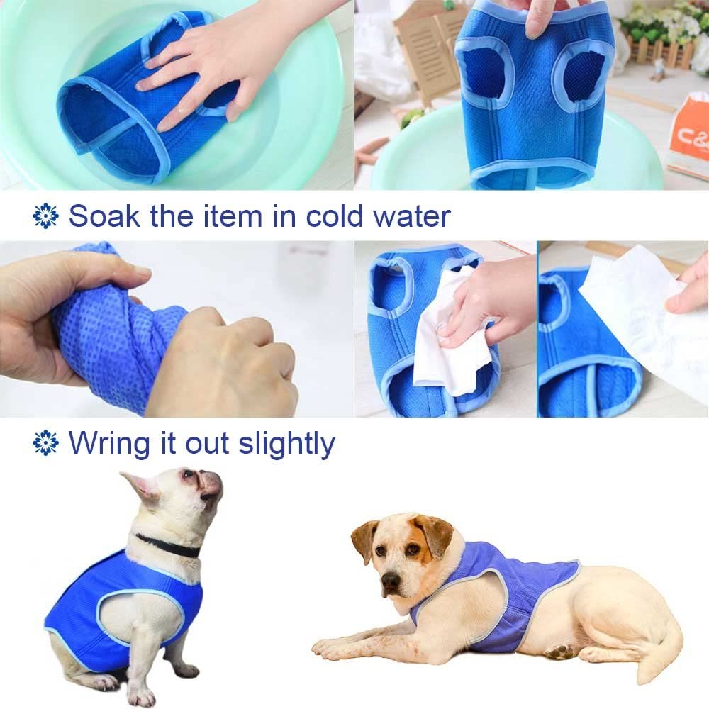 PawRoll Summer Dog Cooling Vest