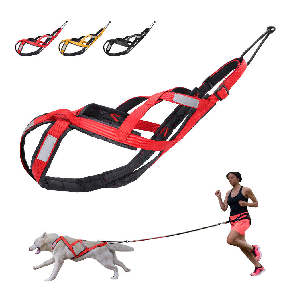 PawRoll™ Dog Running Harness