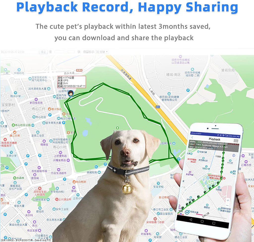 PawRoll Dog Gps Tracker Collar (2023)