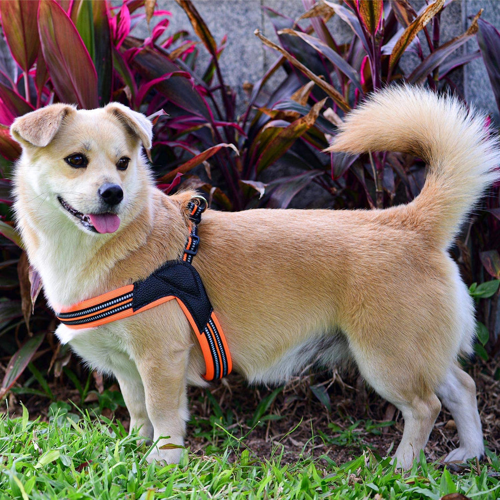 PawRoll™ No Pull Ultra Soft Dog Harness
