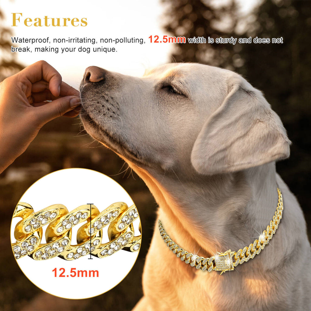 PawRoll Luxury Dog Cuban Chain