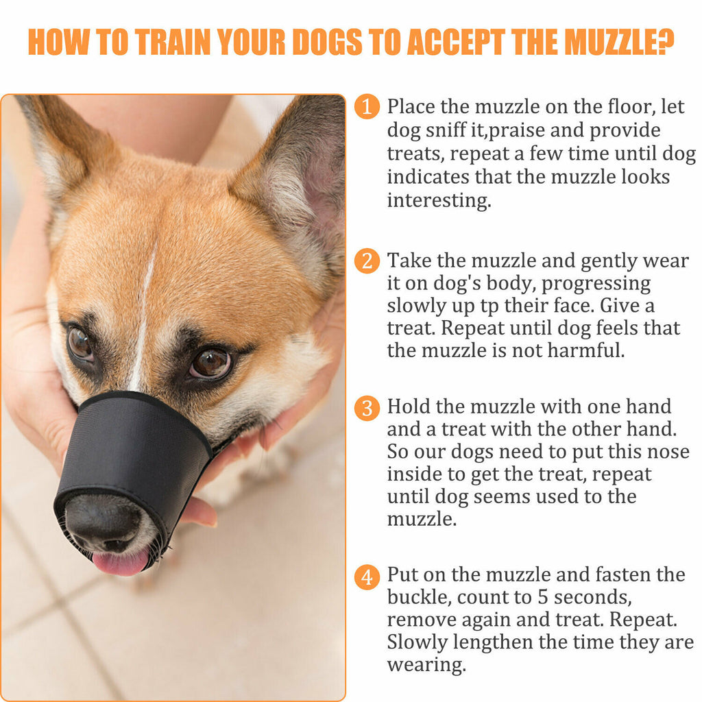 PawRoll Safety Dog Muzzle (2022)