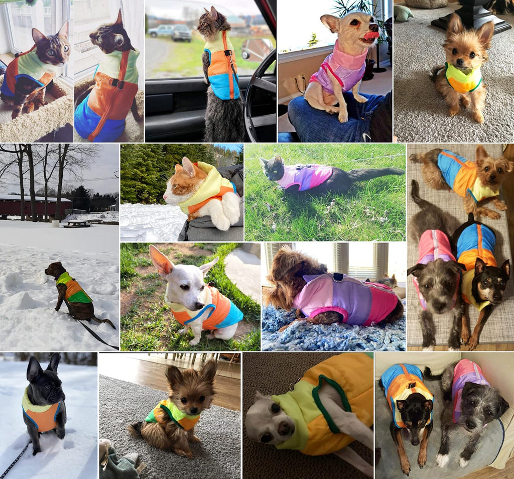PawRoll Colorful Dog Winter Jacket