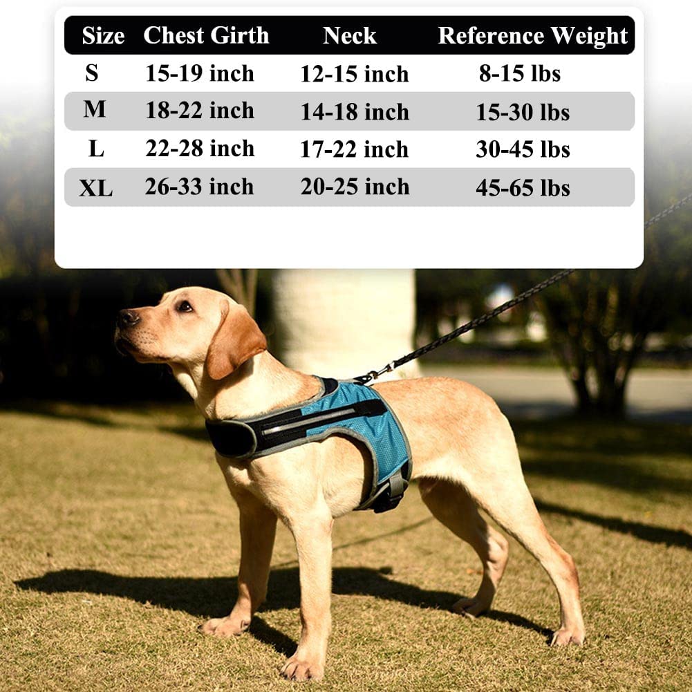 New PawRoll Luminous Dog Harness