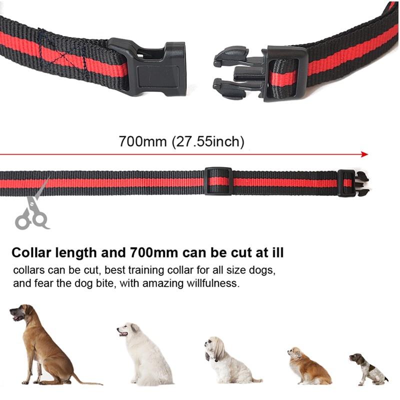 PawRoll™ Dog Training Collar