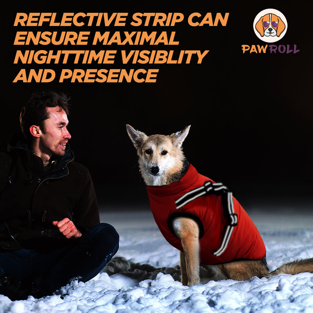 New PawRoll™ Dog Winter Jacket (2023)