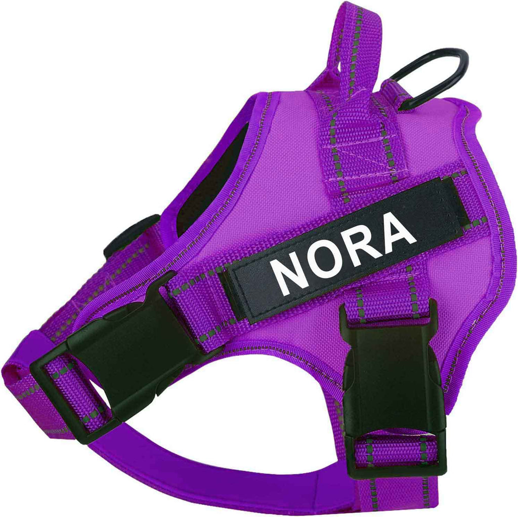 Personalized PawRoll Cute Dog Harness (2024)