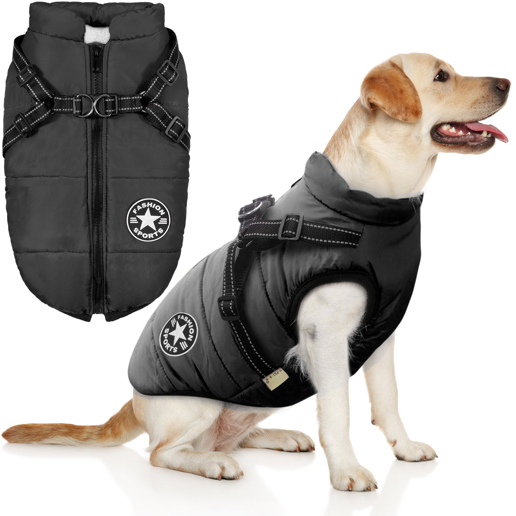 PawRoll Dog Winter Jacket (2023)