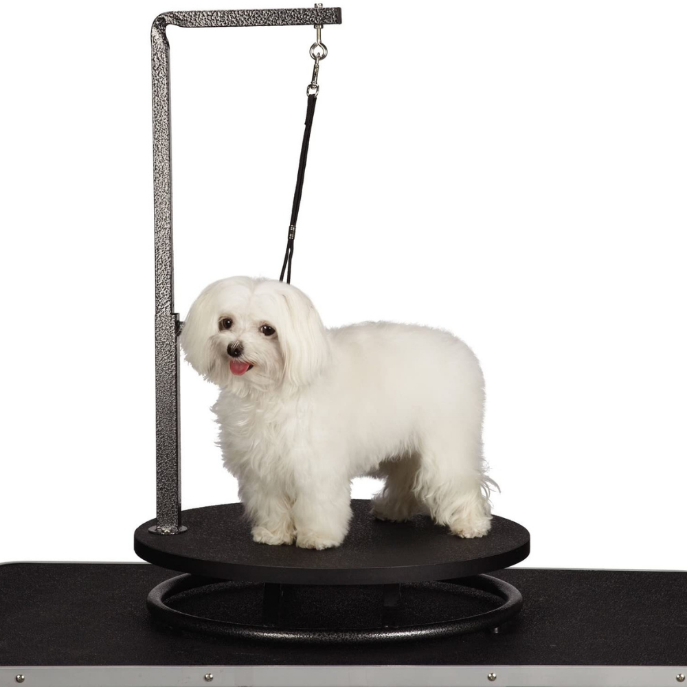 PawRoll Small Dog Grooming Table With Adjustable Arm