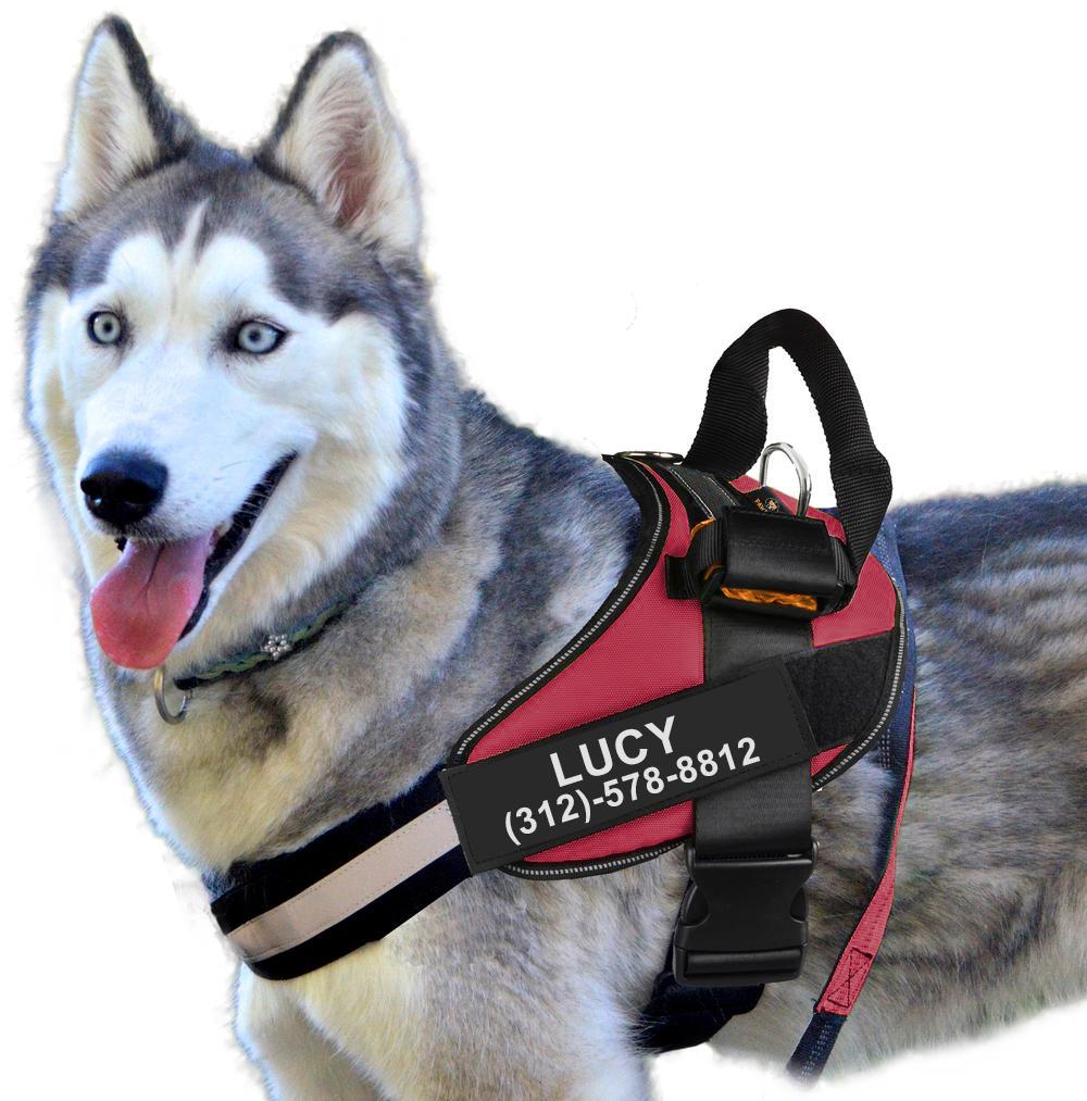 Personalized PawRoll™ Harness (2022)