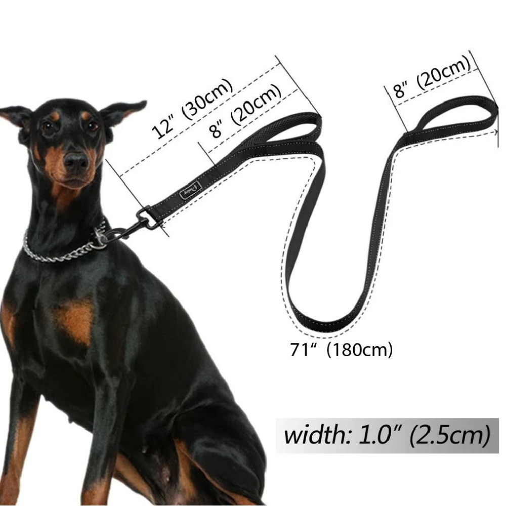 PawRoll™ Double Handle Heavy Duty Dog Leash (5FT)