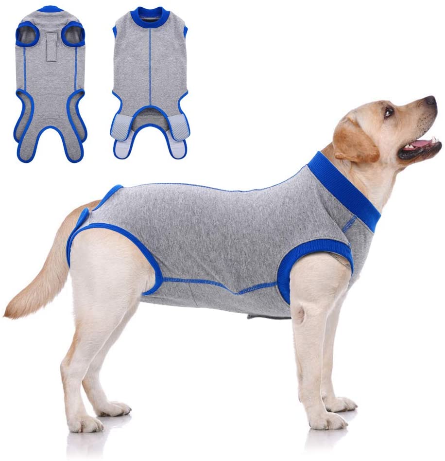 All-Purpose Dog Recovery Suit