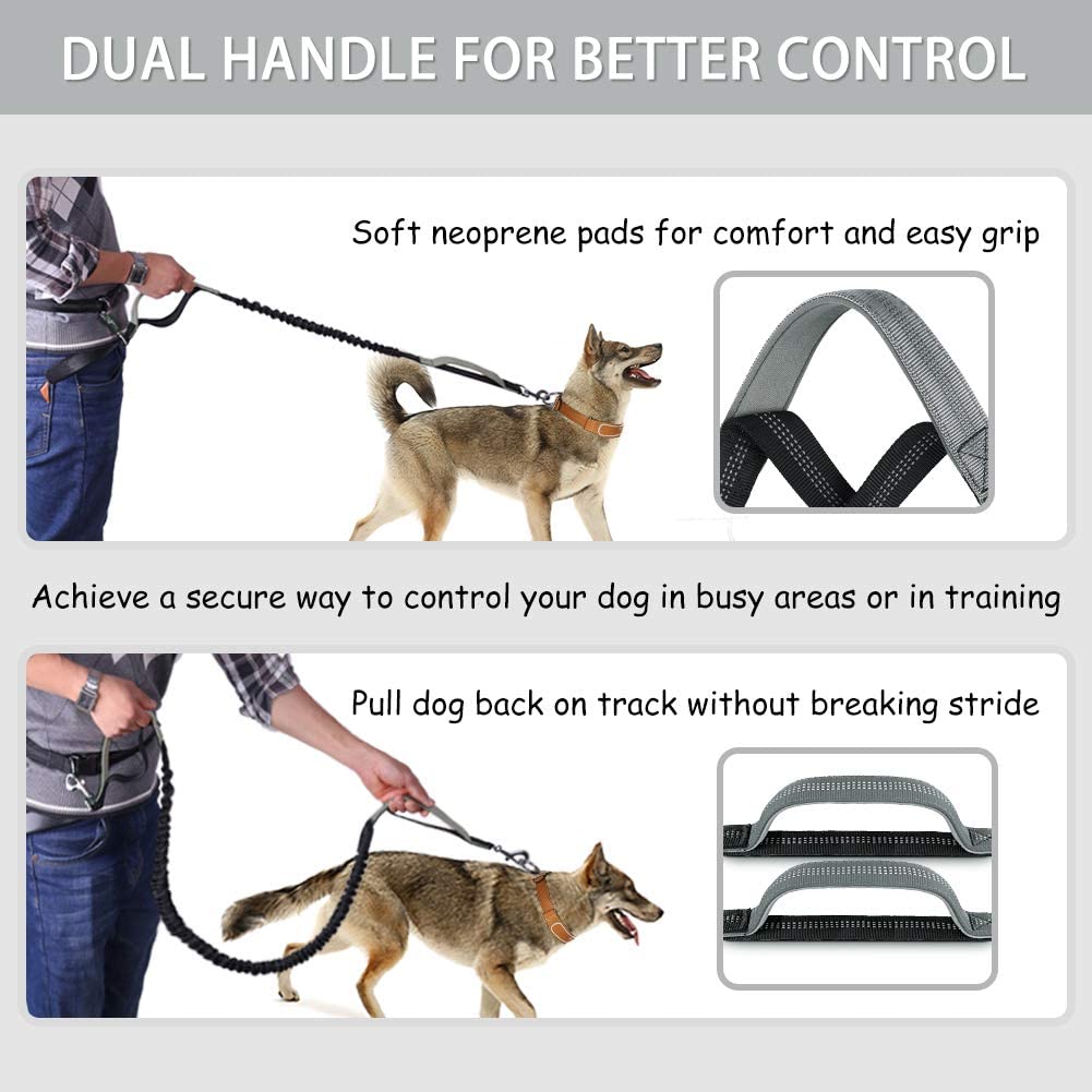 New PawRoll Hand-Free Dog Leash (2022)