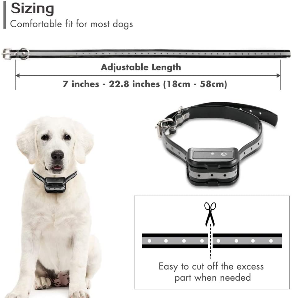 DRAY™ Dog Training Collar