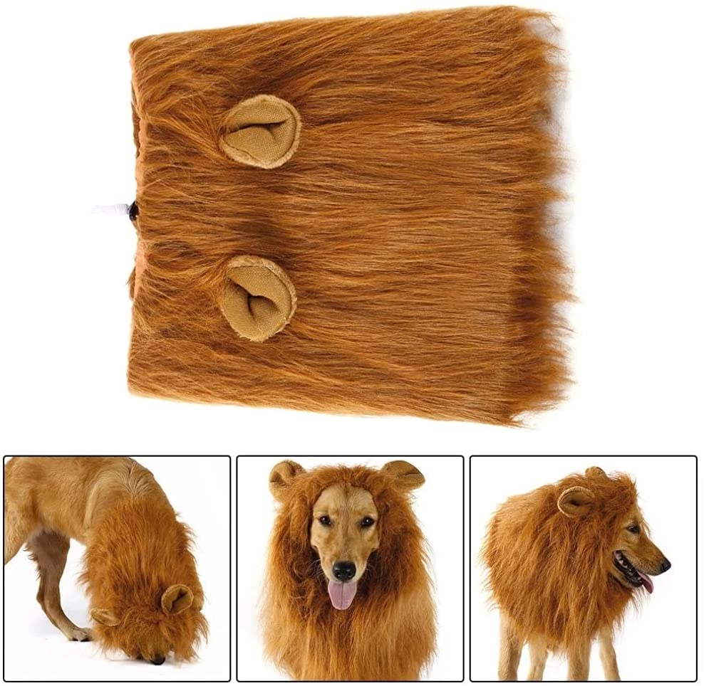 Lion King Halloween Dog Costume