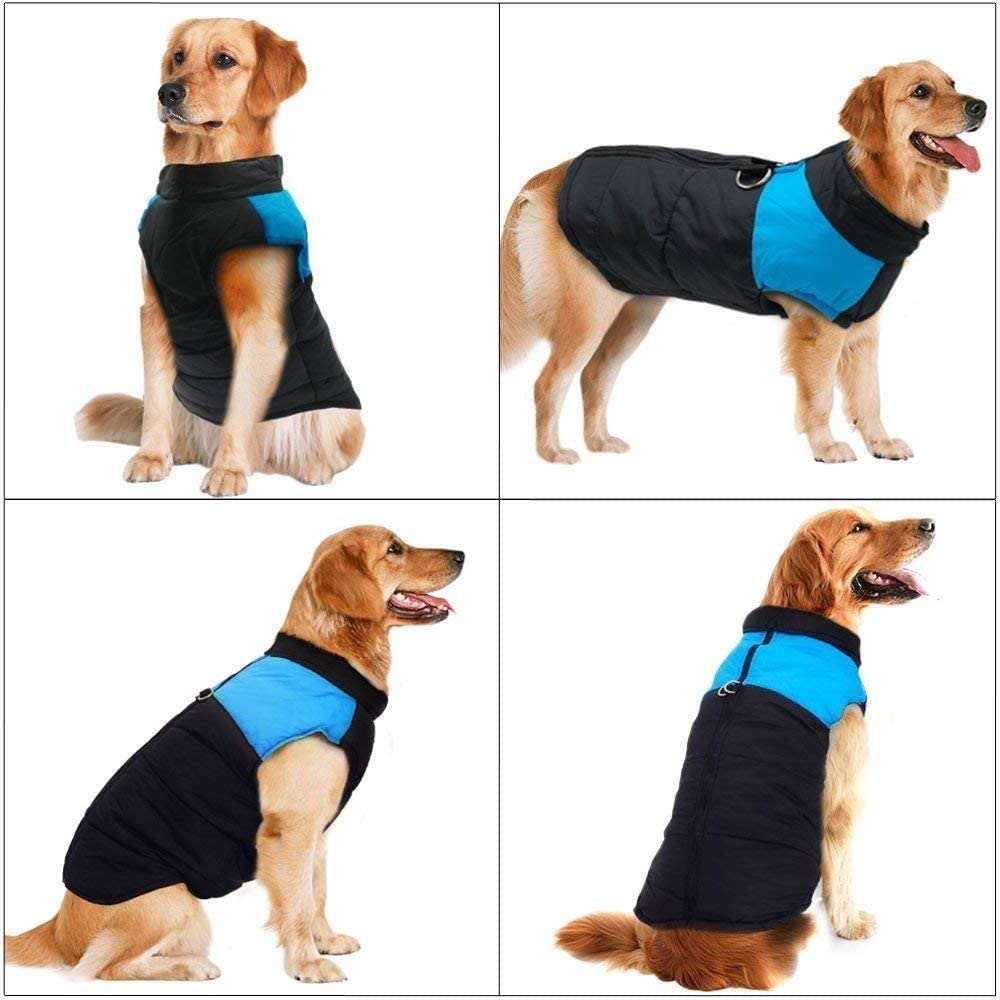 PawRoll™ Dog Jacket With D-Ring