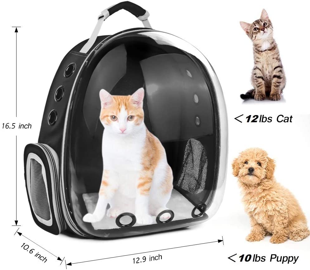 PawRoll Cat Bubble Backpack Carrier (2022)