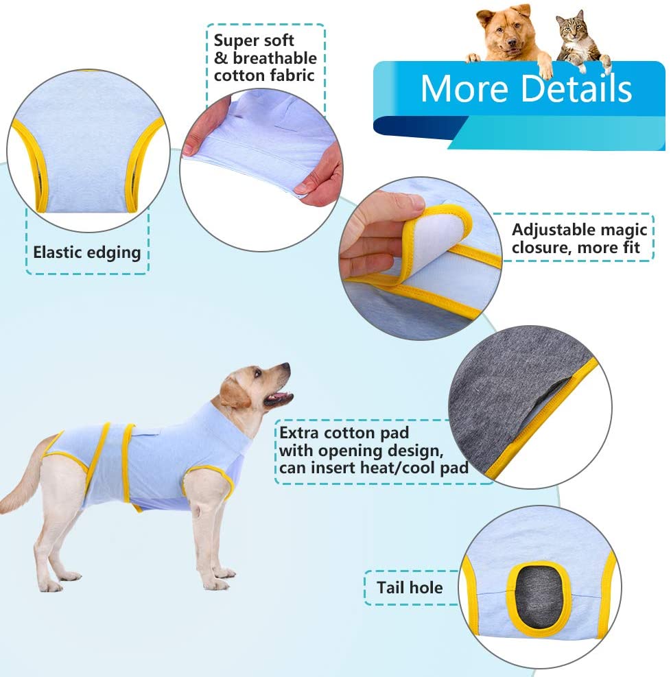 All-Purpose Dog Recovery Suit – Paw Roll