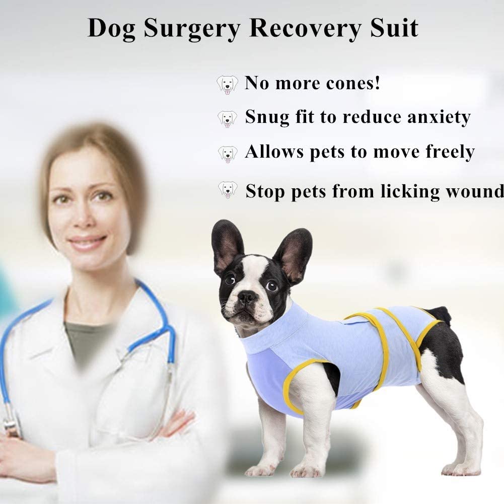 All-Purpose Dog Recovery Suit – Paw Roll
