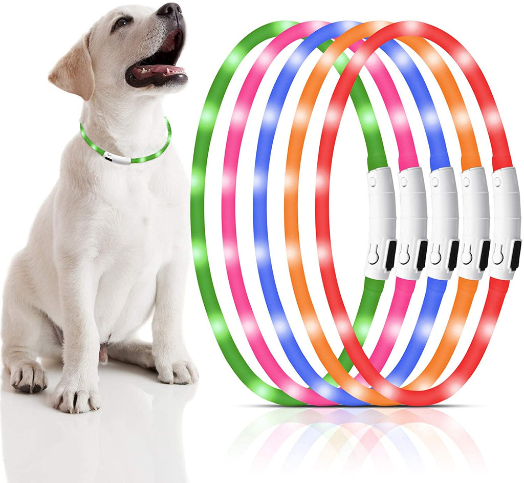 PawRoll Safety LED Dog Collar (2023)
