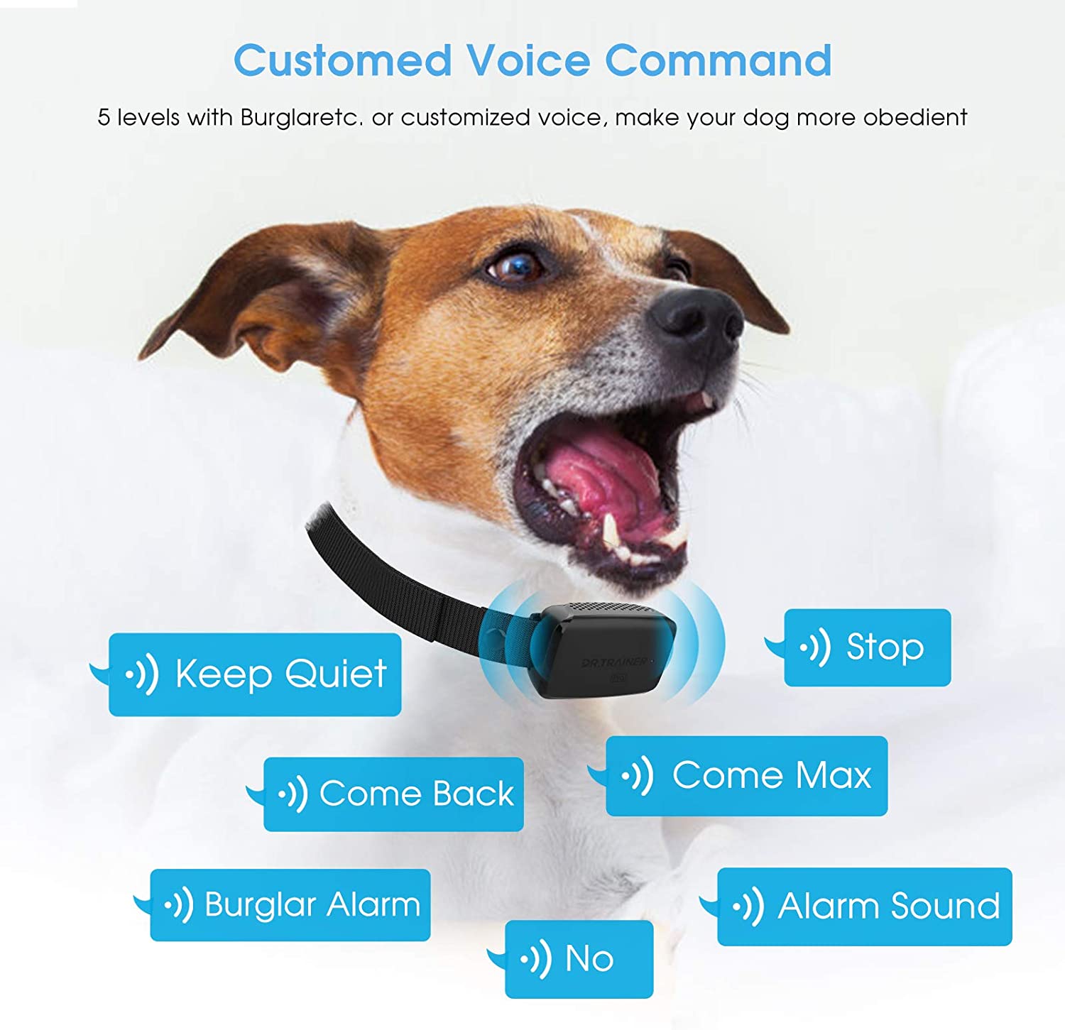 App controlled shock on sale collar