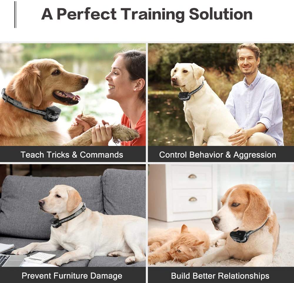 DRAY™ Dog Training Collar