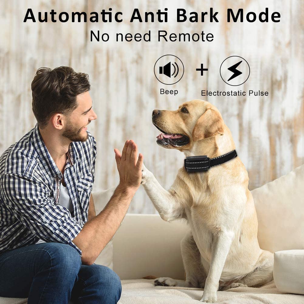 PawRoll™ Dog Training Shock Collar